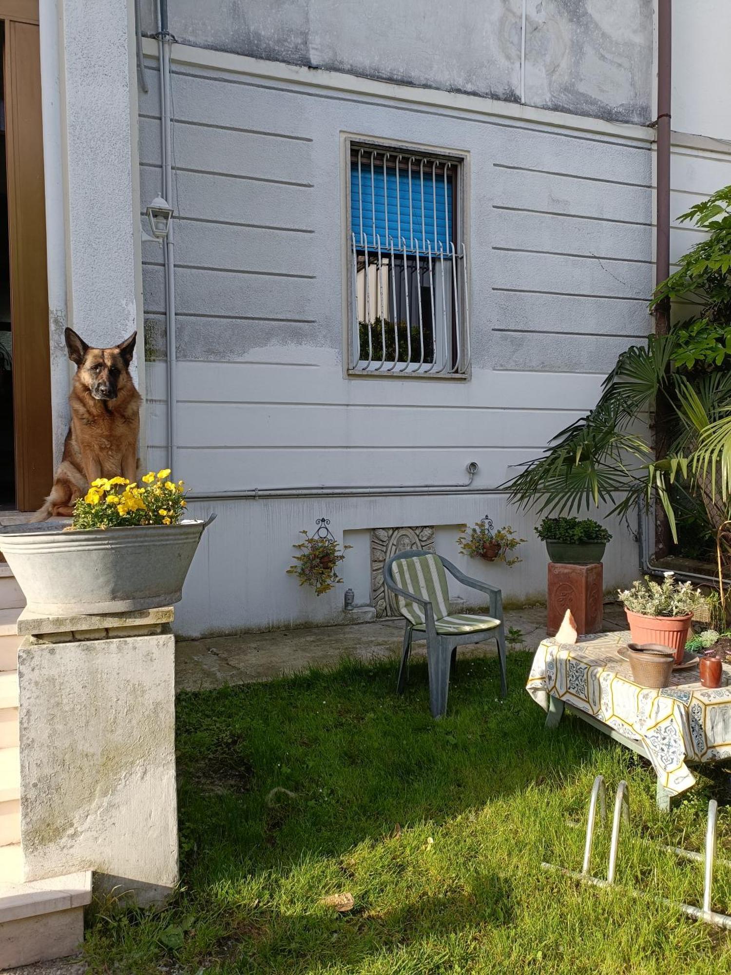 B&B Mavipagi Verona Exterior photo