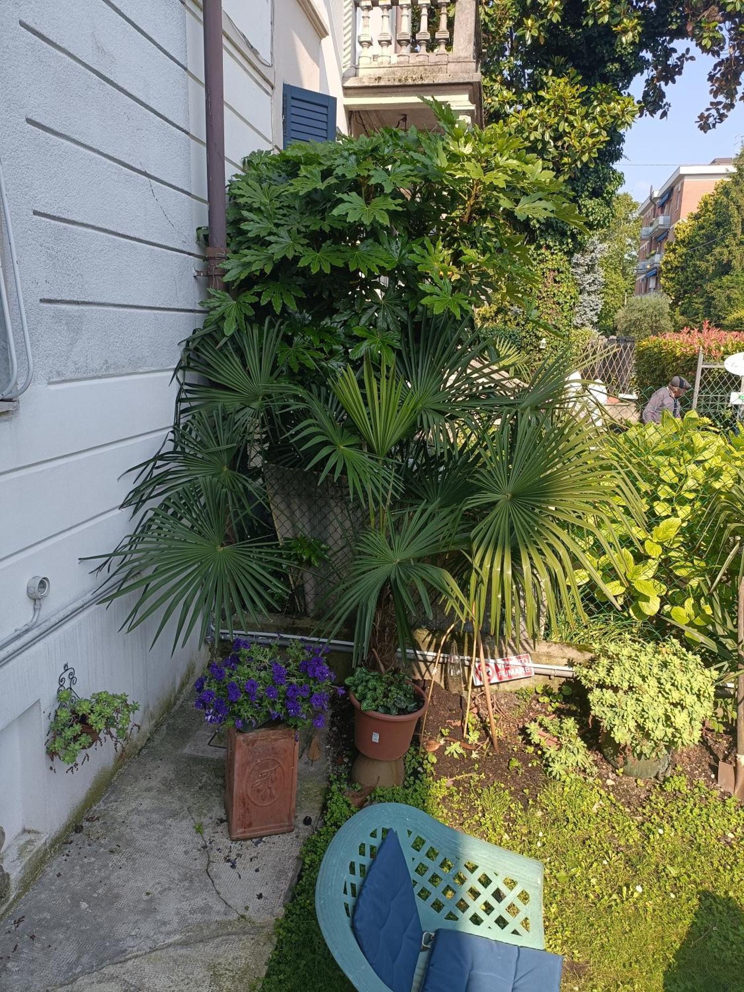 B&B Mavipagi Verona Exterior photo